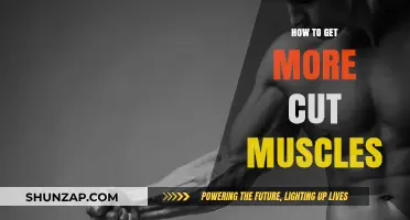 Sculpting Strength: A Guide to Building Cut Muscles