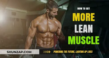 Building Lean Muscle: A Comprehensive Guide for Fitness Enthusiasts