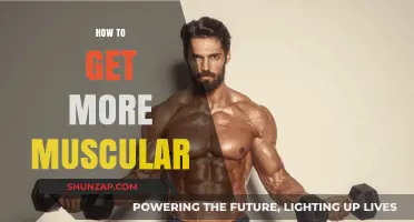 Building Strength: A Guide to Getting More Muscular