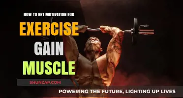 Unlock Your Fitness Drive: Tips to Stay Motivated and Build Muscle