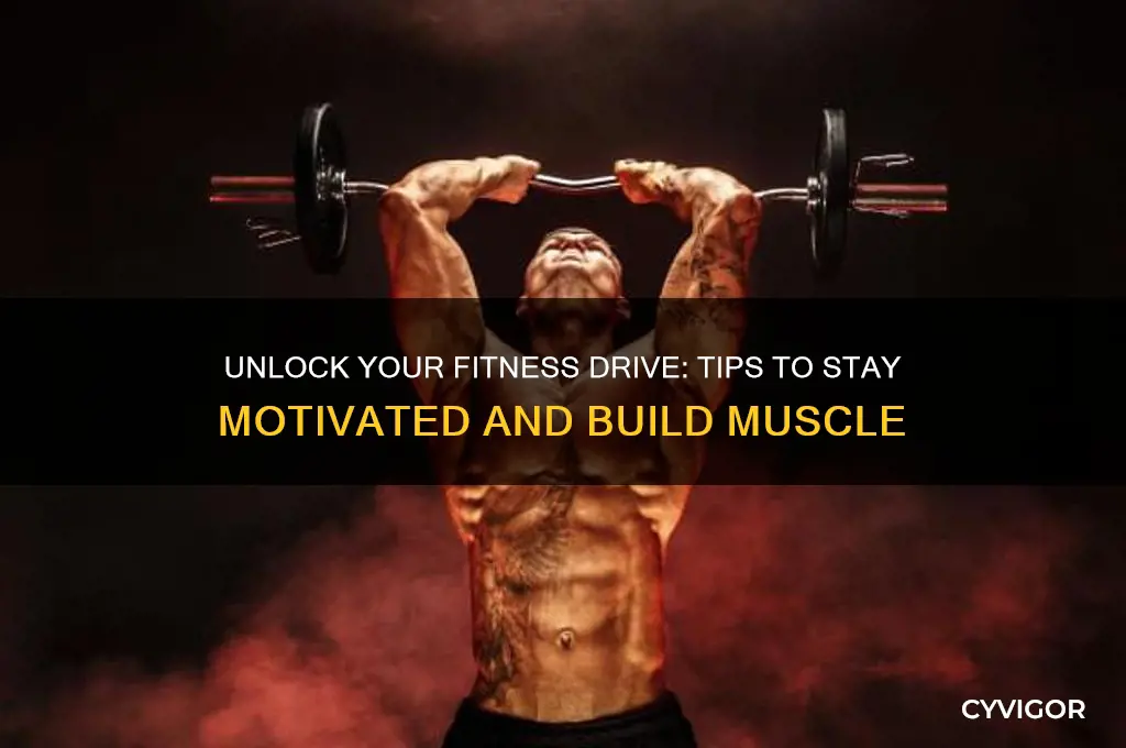 how to get motivation for exercise gain muscle