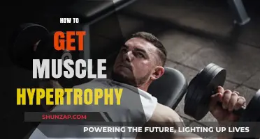 Unlocking Muscle Growth: A Comprehensive Guide to Hypertrophy Training