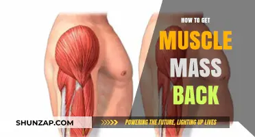 Regaining Muscle Mass: A Comprehensive Guide to Rebuilding Strength
