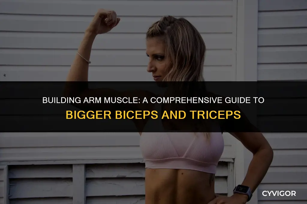 how to get muscle mass in arms