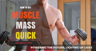 Fast Track to Gains: How to Build Muscle Mass Quickly and Safely