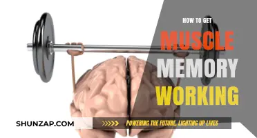 Mastering Muscle Memory: Techniques to Train Your Body Automatically