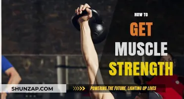 Unlocking Your Inner Strength: A Guide to Building Muscle Power
