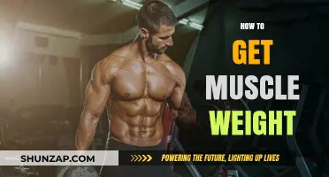 Building Muscle Mass: A Comprehensive Guide to Gain Weight