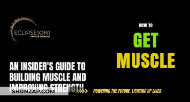 Building Muscle: A Comprehensive Guide to Strength Training and Nutrition