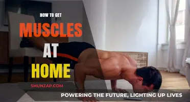 Home Fitness Revolution: Building Muscle Without the Gym