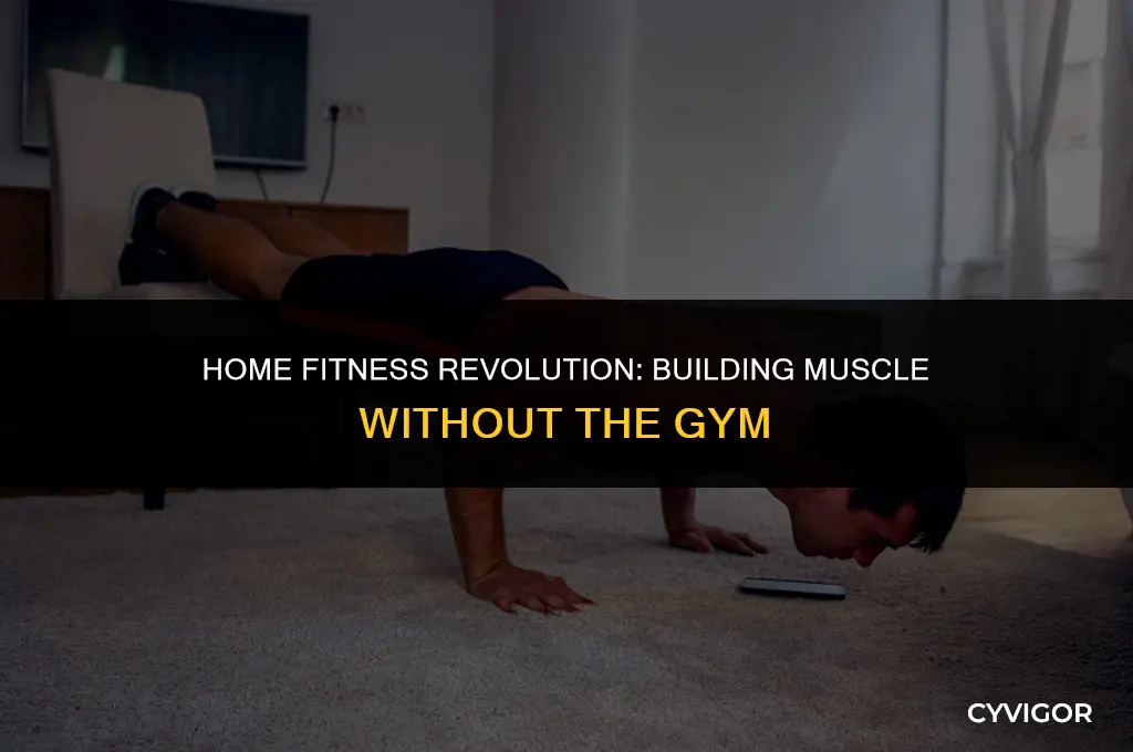 how to get muscles at home