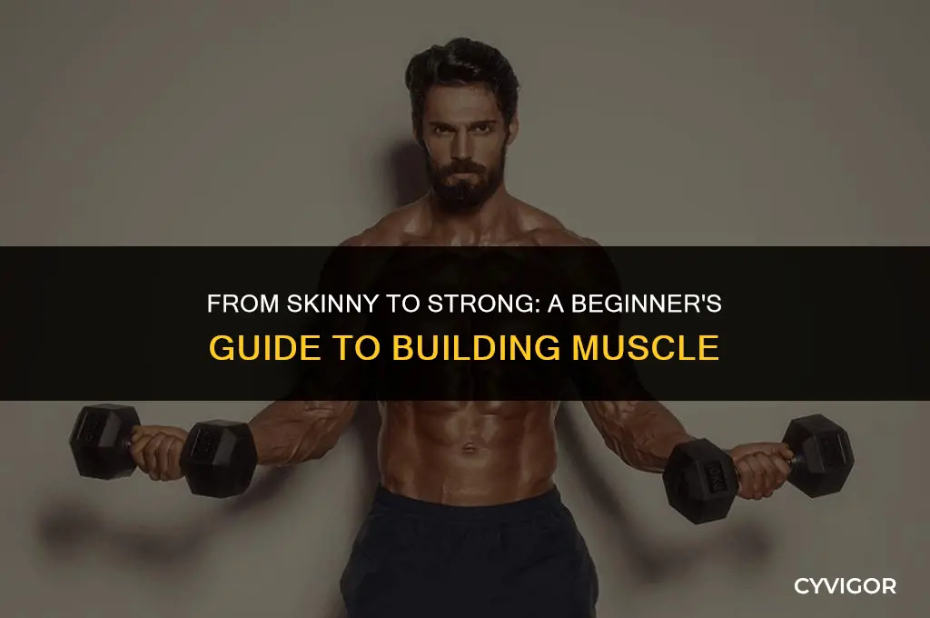 how to get muscles if your skinny