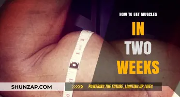Rapid Muscle Gain: A 14-Day Transformation Guide