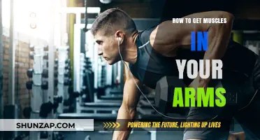 Sculpting Strong Arms: A Comprehensive Guide to Building Muscle