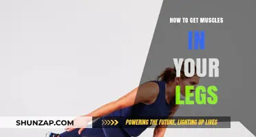 Building Leg Muscles: A Comprehensive Guide for Strength and Tone