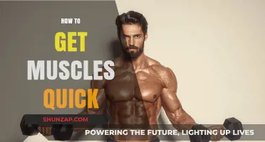 Fast Track to Fitness: Building Muscle Quickly and Safely