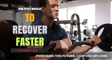 Speed Up Muscle Recovery: Effective Tips and Strategies