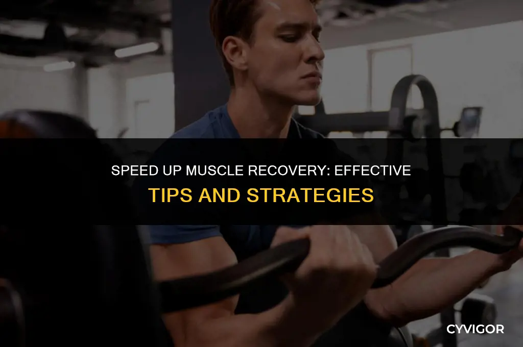 how to get muscles to recover faster