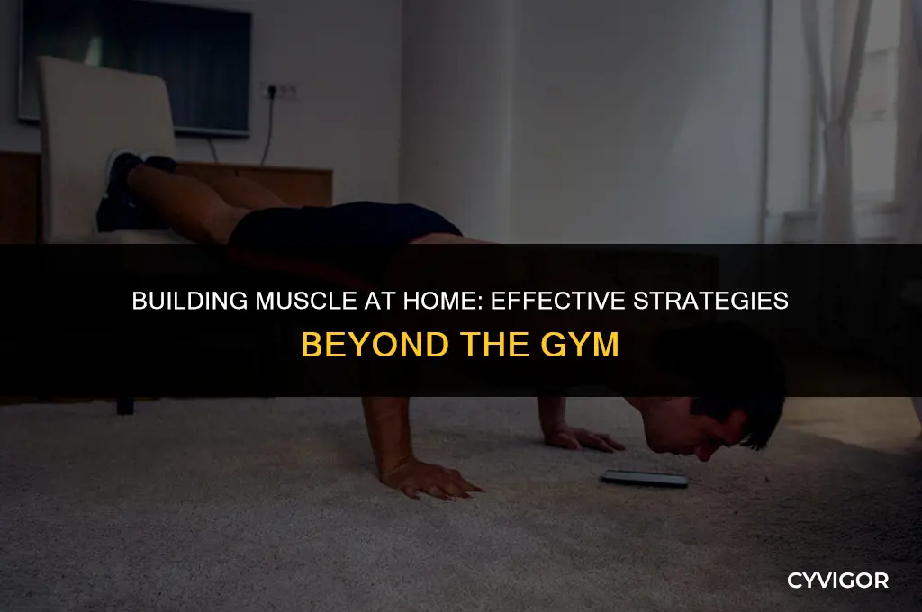 how to get muscles without going to the gym