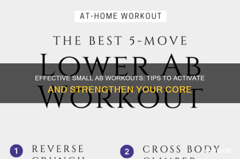 how to get my small ab muscles working out