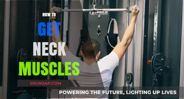 Building Strong Neck Muscles: A Comprehensive Guide