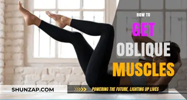 Sculpt Your Sides: The Ultimate Guide to Toned Oblique Muscles