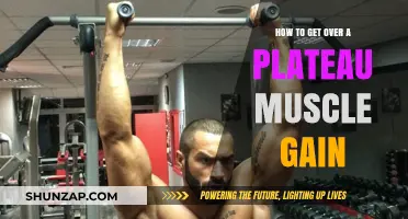 Break Through Your Muscle Gain Plateau: Proven Strategies for Progress
