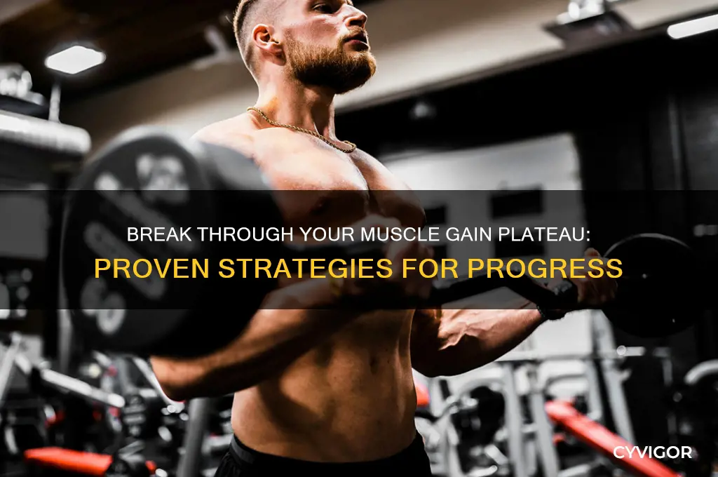 how to get over a plateau muscle gain