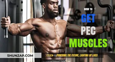 Sculpting Your Pecs: A Comprehensive Guide to Building Chest Muscles