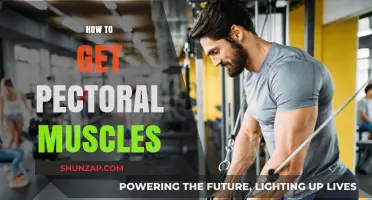 Sculpt Your Chest: A Guide to Building Strong Pectoral Muscles