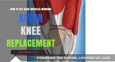 Reactivating Quad Muscles Post-Knee Replacement: Effective Strategies for Recovery