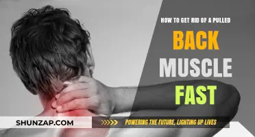 Quick Relief: Effective Ways to Heal a Pulled Back Muscle Fast