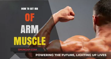 Tone Down Your Biceps: A Guide to Reducing Arm Muscle Bulk