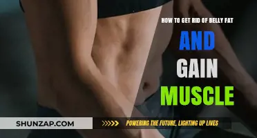 Effective Strategies to Lose Belly Fat and Build Muscle Fast