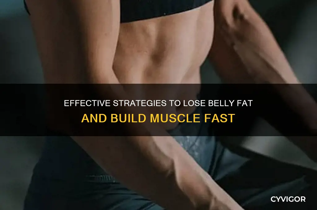 how to get rid of belly fat and gain muscle