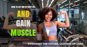 Effective Strategies to Burn Body Fat and Build Lean Muscle