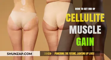 Effective Strategies for Cellulite Reduction and Muscle Gain Transformation