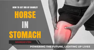 Effective Remedies to Relieve Stomach Charley Horses