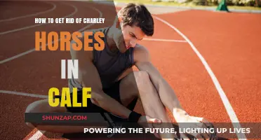 Effective Remedies to Relieve Charley Horses in Your Calf