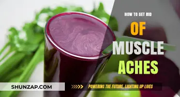 Effective Remedies to Relieve Muscle Aches: A Comprehensive Guide