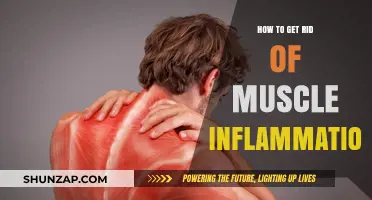 Conquering Muscle Inflammation: A Comprehensive Guide to Relief