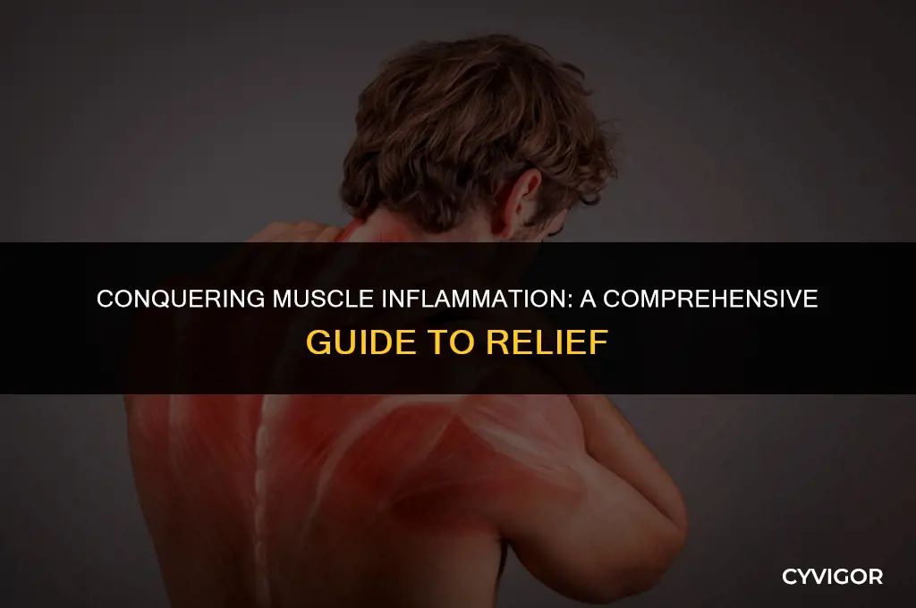 how to get rid of muscle inflammation