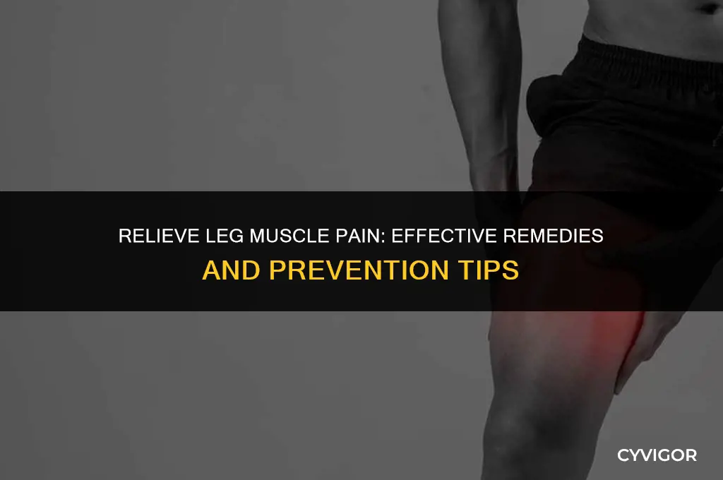 how to get rid of muscle pain in legs