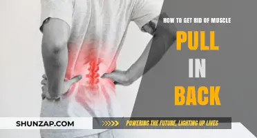 Effective Remedies to Relieve and Heal Back Muscle Pull Quickly
