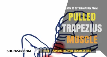Effective Remedies to Relieve Pulled Trapezius Muscle Pain Fast
