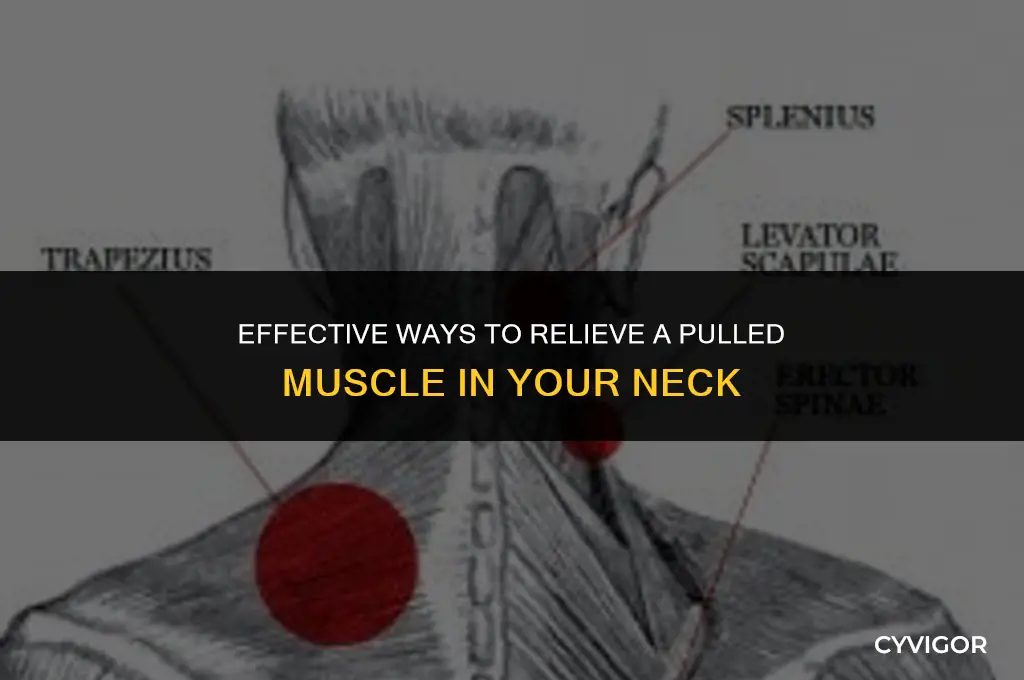 how to get rid of pulled muscle in neck