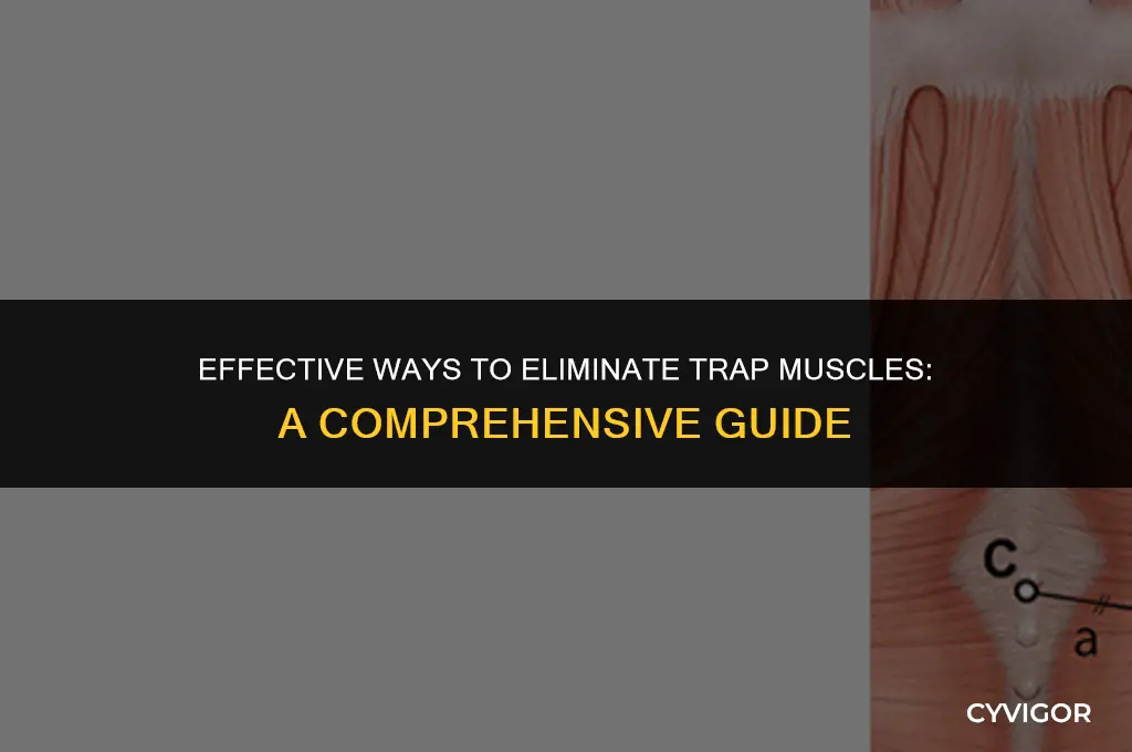 how to get rid of trap muscles