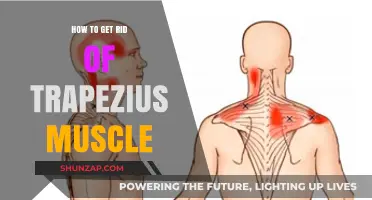 Effective Ways to Relieve Trapezius Muscle Tension and Pain