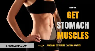Sculpt Your Core: A Guide to Achieving Toned Stomach Muscles
