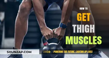 Sculpting Strong Thighs: A Comprehensive Guide to Building Muscle